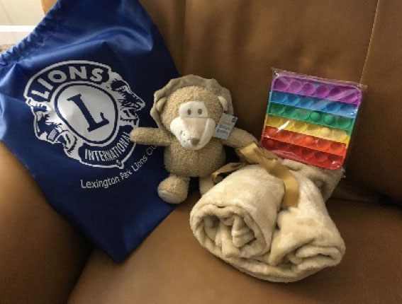 bags of comfort filled with blanket and comfort toys